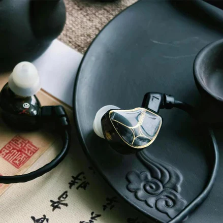 TANGZU Waner SE 10mm PET Diaphragm Dynamic Driver In-Ear Earphones